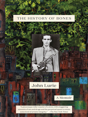 cover image of The History of Bones